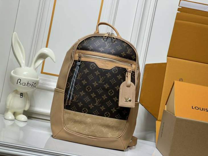 Picture of Louis Vuitton Handbags _SKUfw211002927fw
